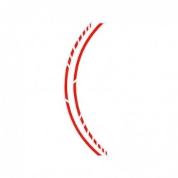 PIN STRIPING RACING NEON...