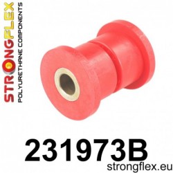 231973B: CASQUILLO DE...