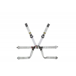 DYNEEMA®-GURT FÜR FORMEL -...